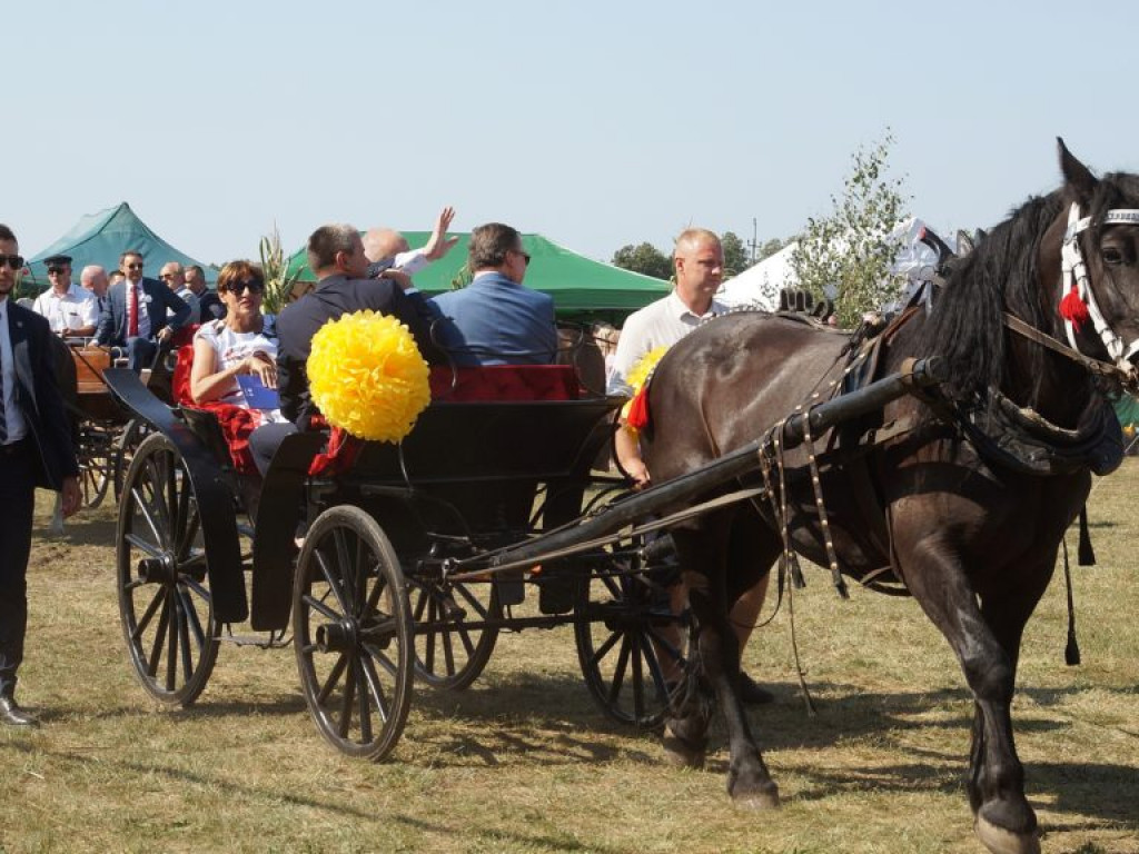 Dożynki gminno-powiatowe w Woli Osowińskiej - zdjęcia