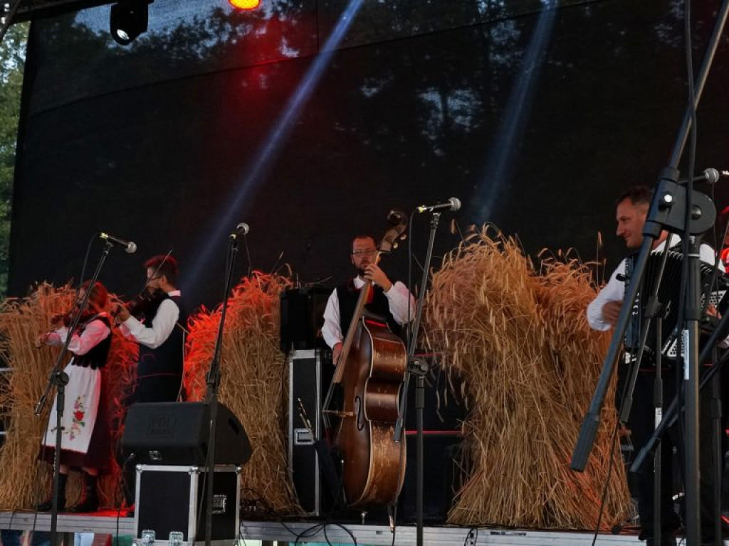 Koncert zespołu 