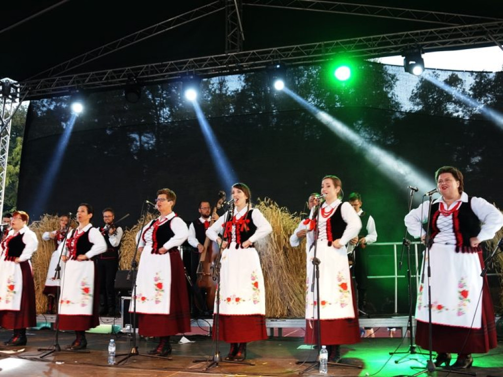 Koncert zespołu 
