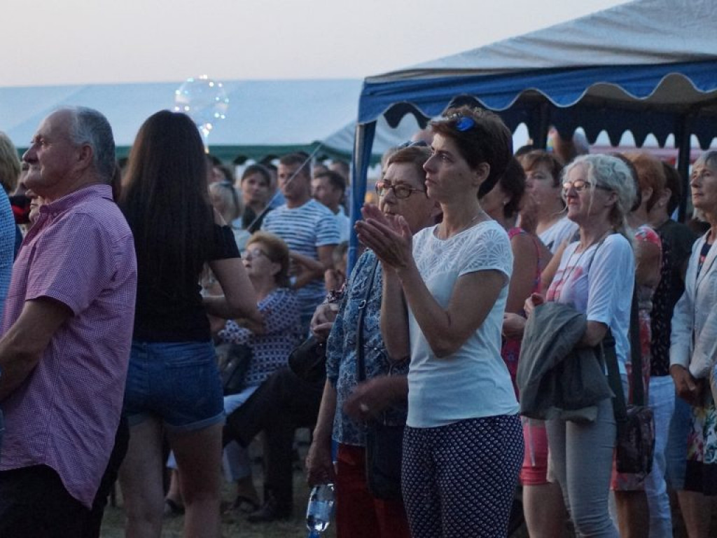 Koncert zespołu 