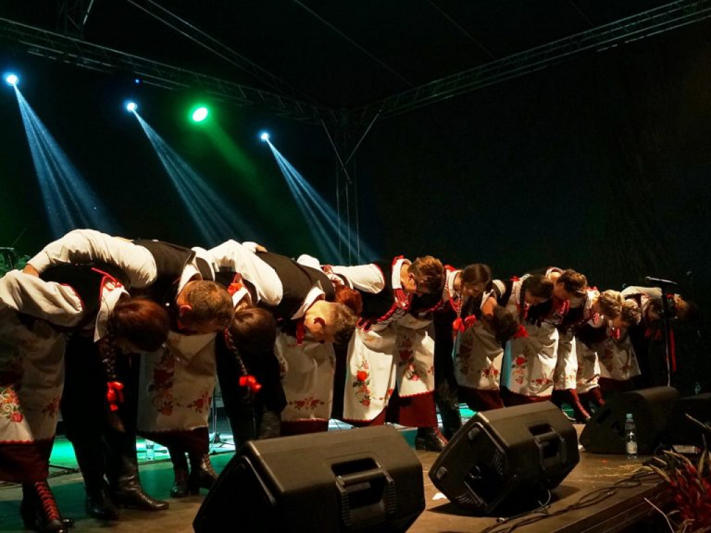 Koncert zespołu 
