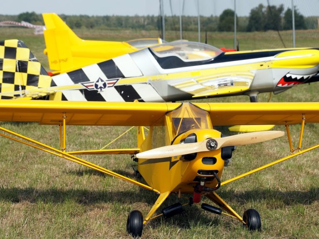 VI Piknik Modelarski w Radzyniu Podlaskim