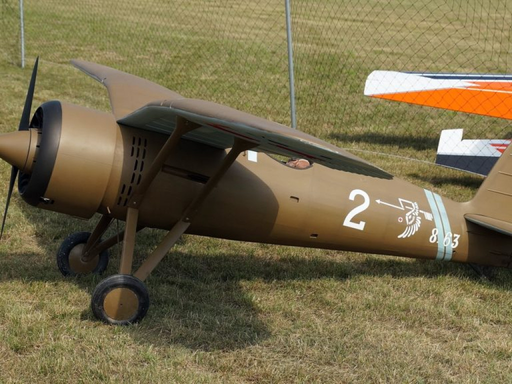 VI Piknik Modelarski w Radzyniu Podlaskim