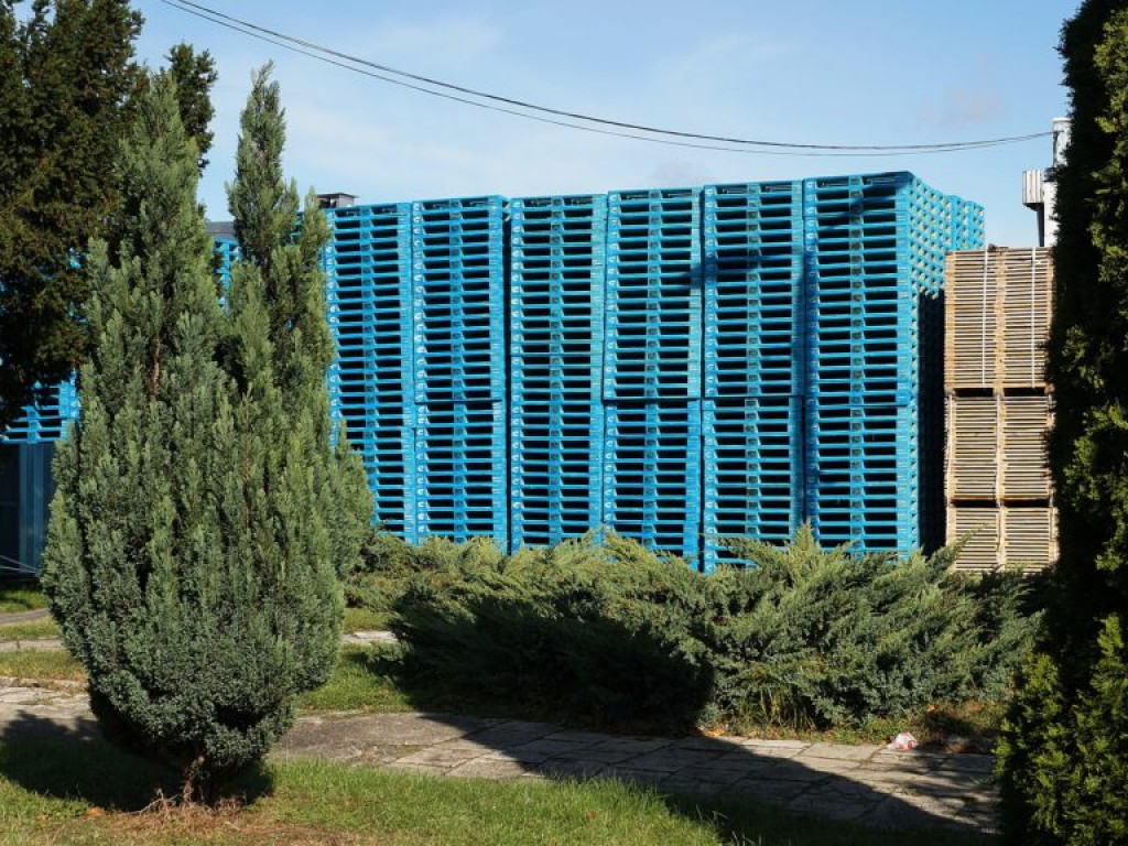 Wycieczka z DŚDS do CMC w Maryninie