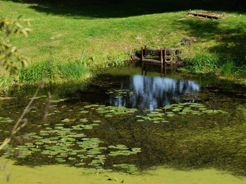 Ogród botaniczny w Lublinie - zdjęcia