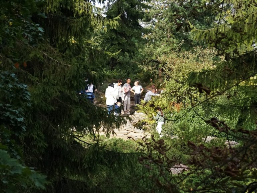 Ogród botaniczny w Lublinie - zdjęcia