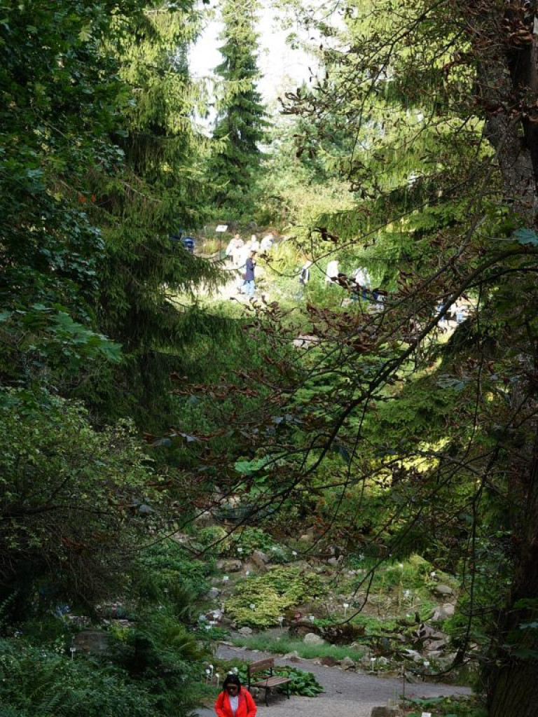 Ogród botaniczny w Lublinie - zdjęcia