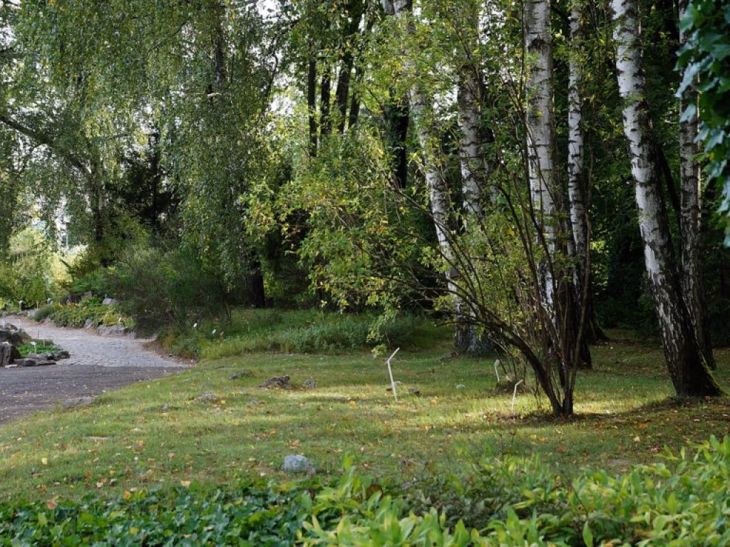 Ogród botaniczny w Lublinie - zdjęcia
