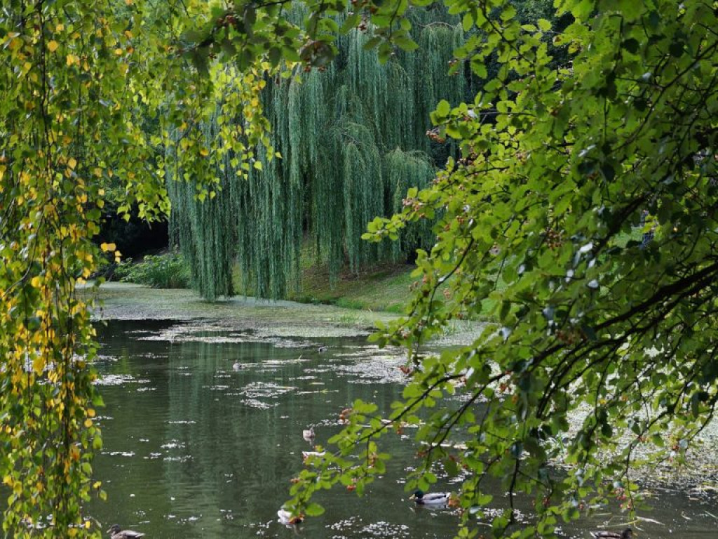 Ogród botaniczny w Lublinie - zdjęcia