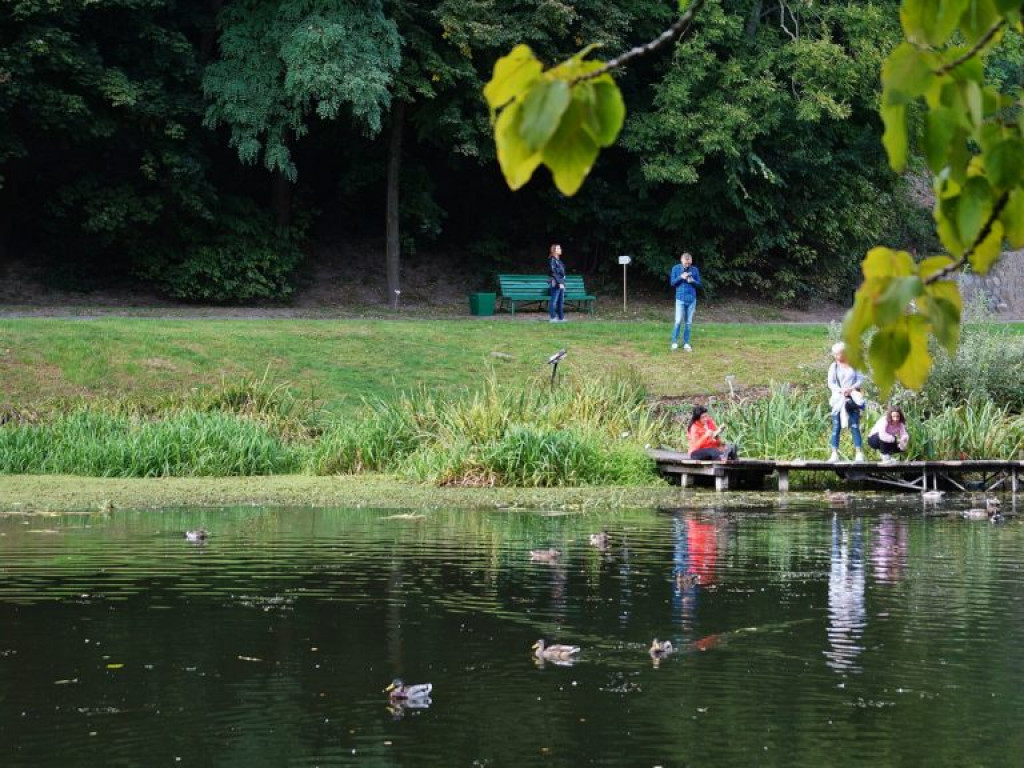 Ogród botaniczny w Lublinie - zdjęcia