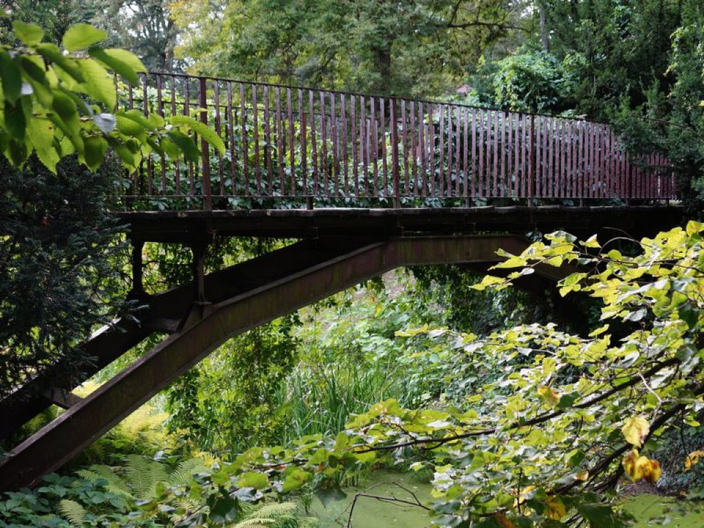 Ogród botaniczny w Lublinie - zdjęcia