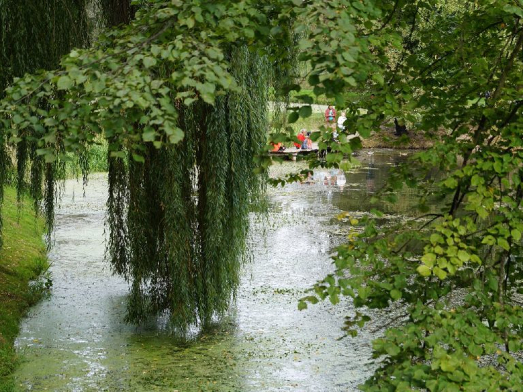 Ogród botaniczny w Lublinie - zdjęcia