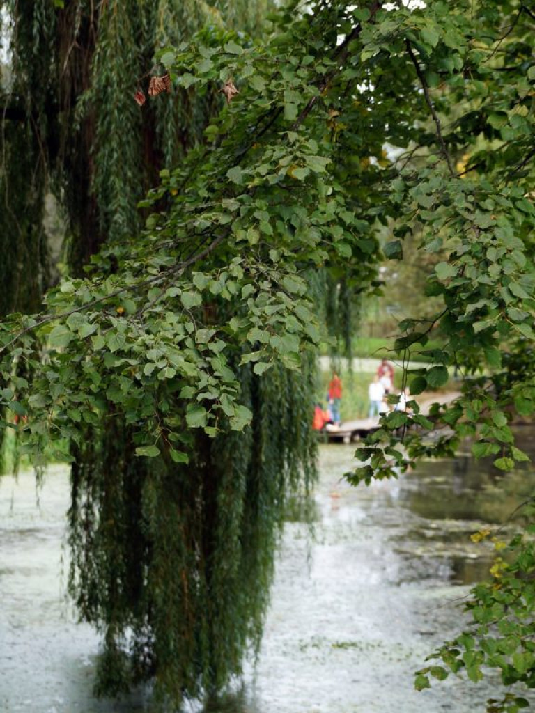 Ogród botaniczny w Lublinie - zdjęcia