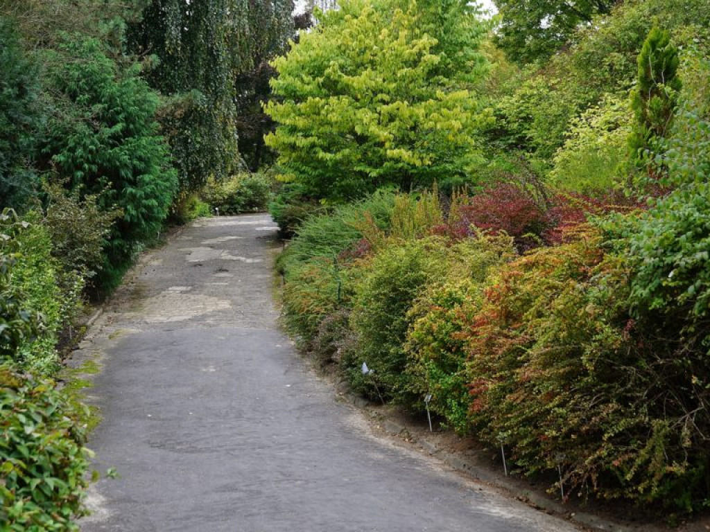 Ogród botaniczny w Lublinie - zdjęcia
