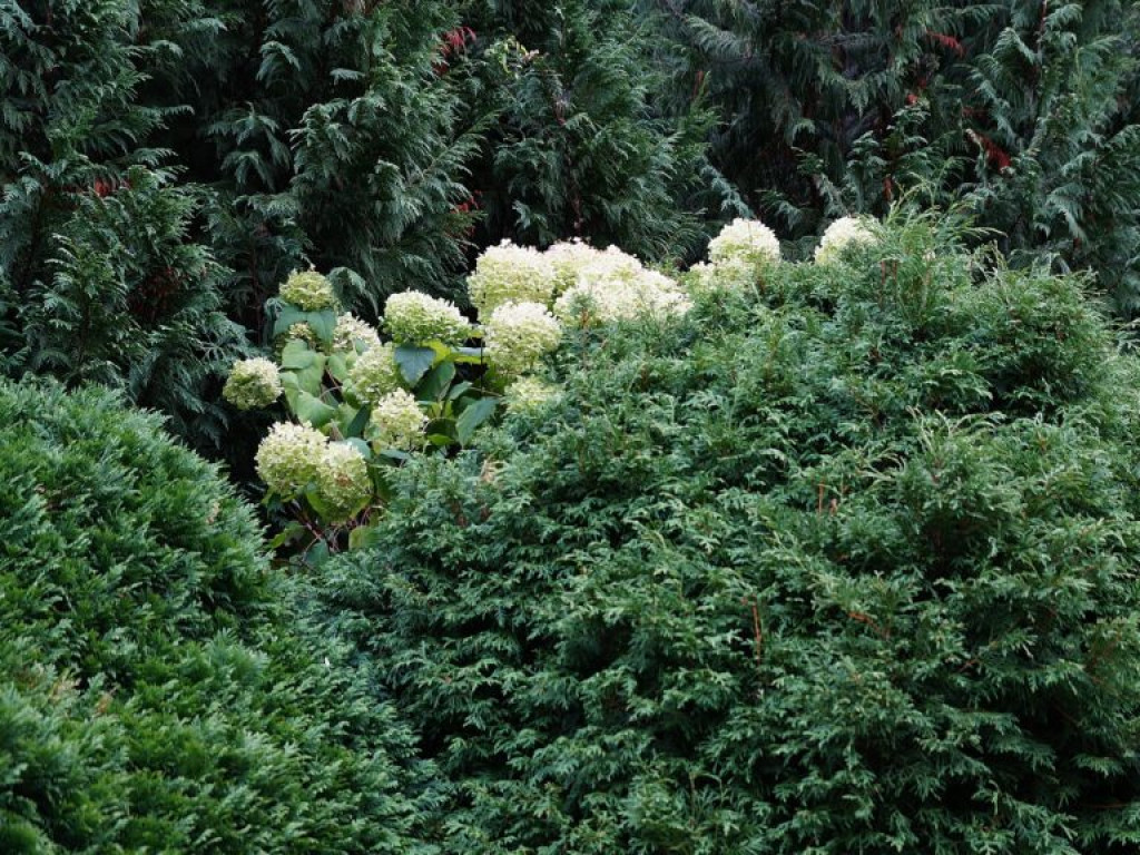 Ogród botaniczny w Lublinie - zdjęcia
