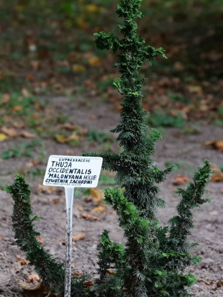 Ogród botaniczny w Lublinie - zdjęcia