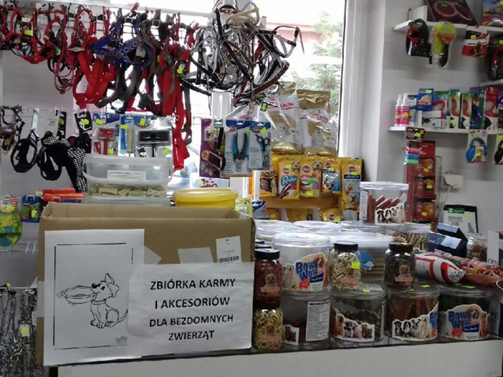 Zbiórka karmy i akcesoriów dla zwierząt