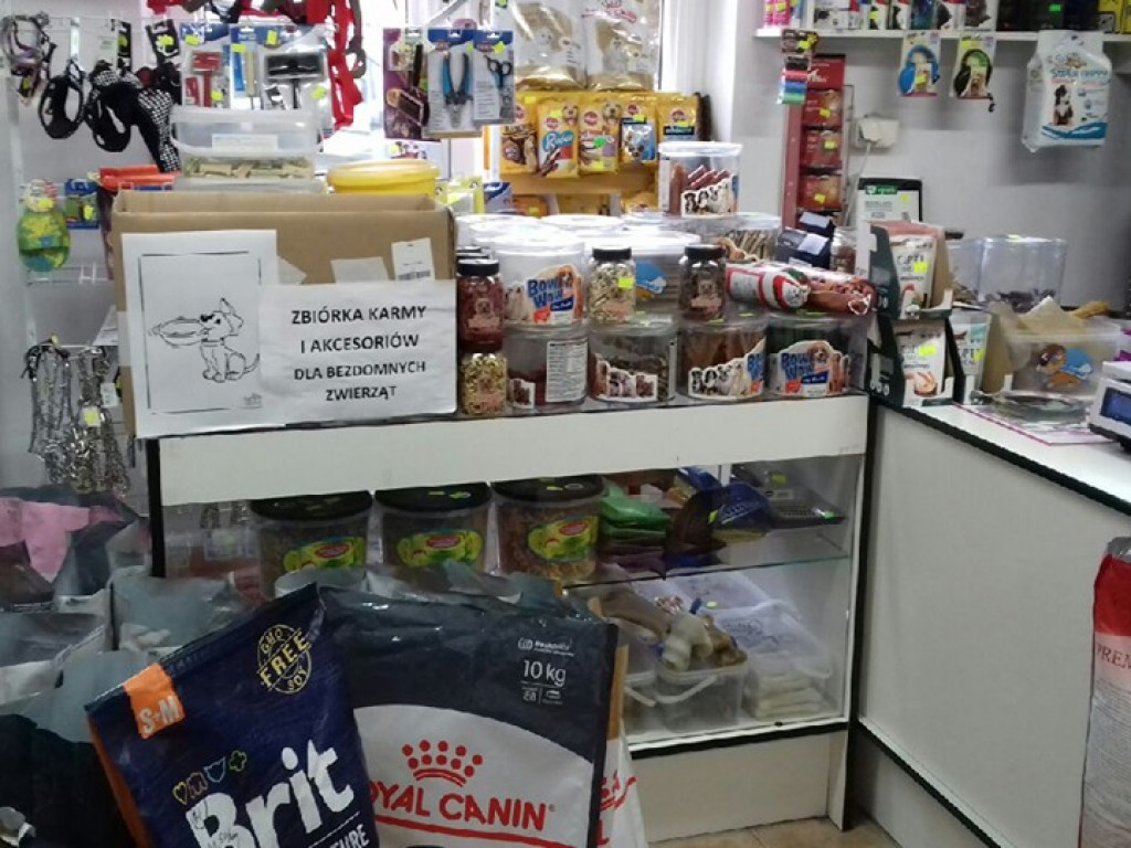 Zbiórka karmy i akcesoriów dla zwierząt