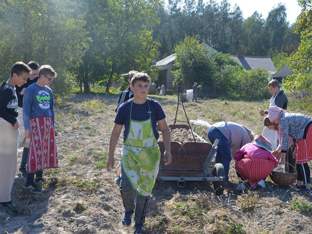 Wykopki w 