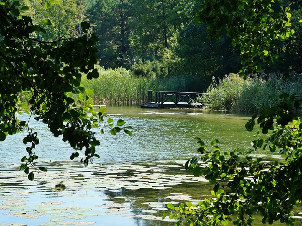 Augustów, Studzieniczna i jezioro Necko - zdjęcia