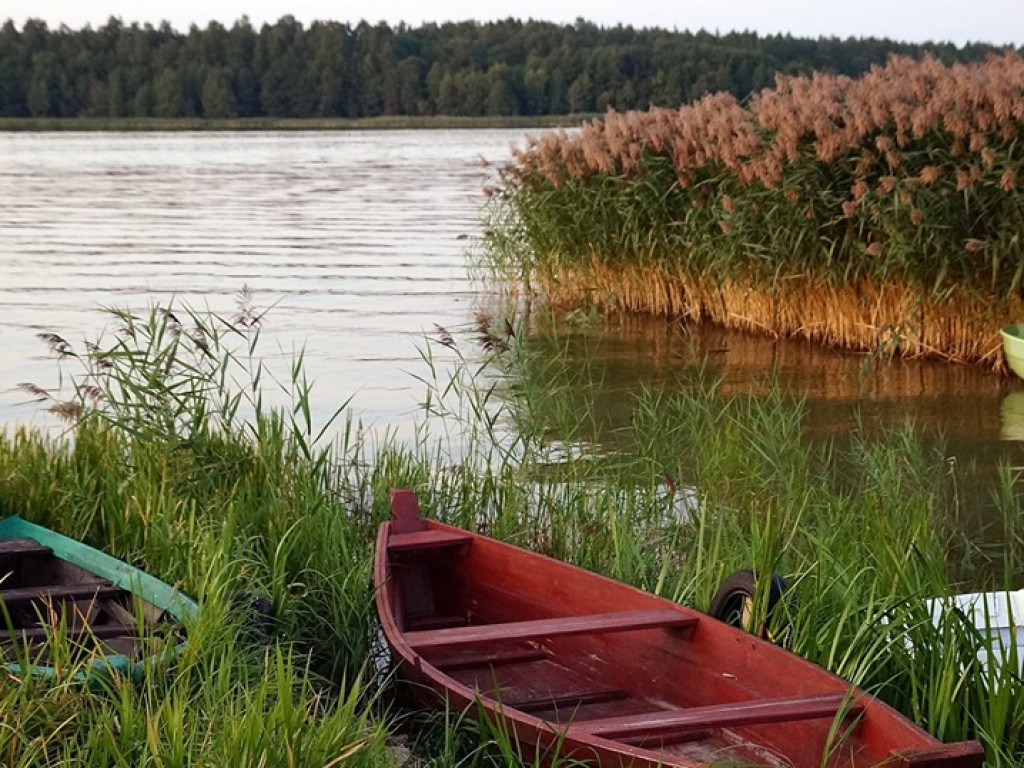 Augustów, Studzieniczna i jezioro Necko - zdjęcia