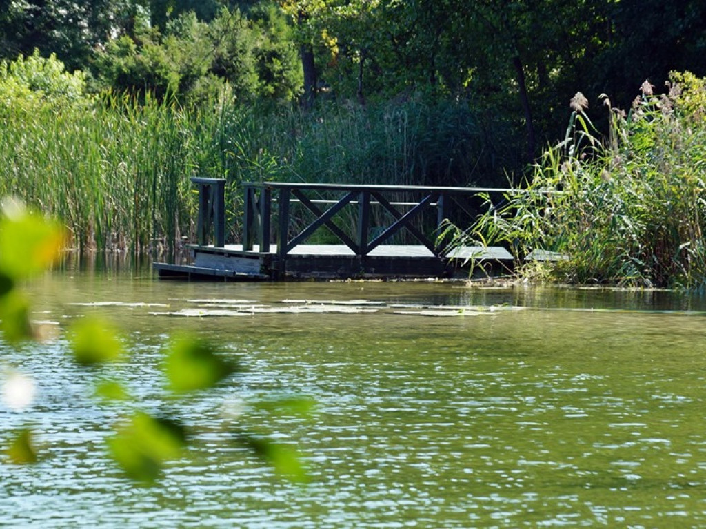 Augustów, Studzieniczna i jezioro Necko - zdjęcia