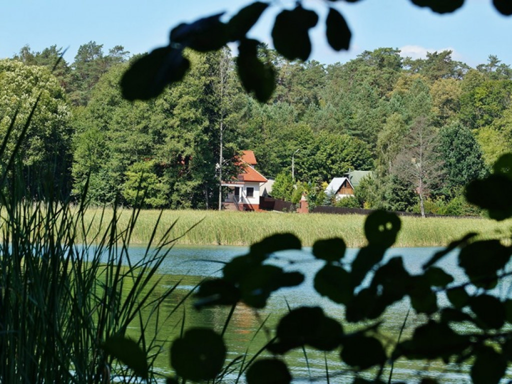 Augustów, Studzieniczna i jezioro Necko - zdjęcia