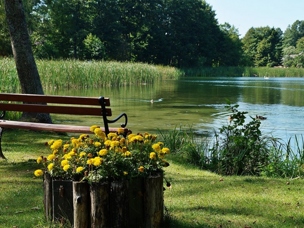 Augustów, Studzieniczna i jezioro Necko - zdjęcia