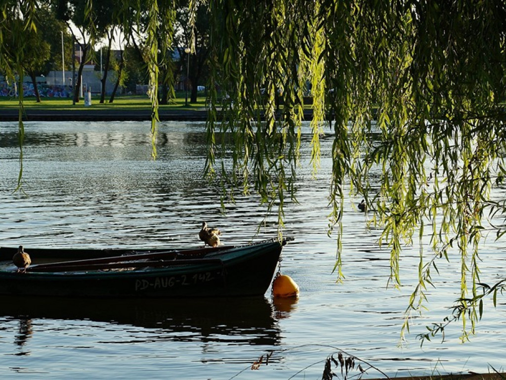 Augustów, Studzieniczna i jezioro Necko - zdjęcia
