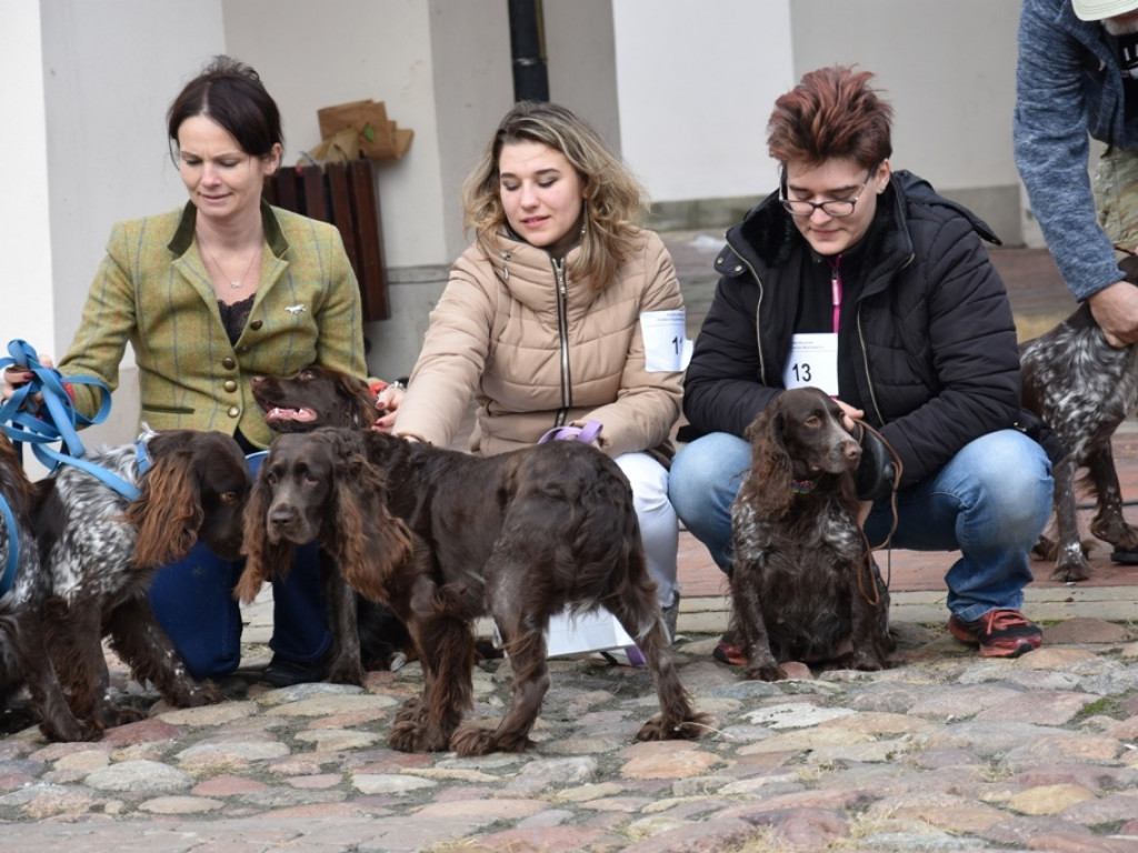 Wycieczka do Zamościa i Zwierzyńca