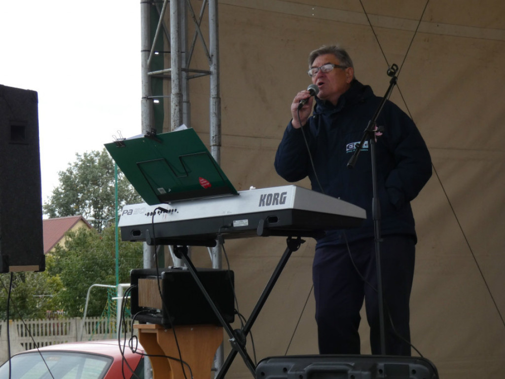 Pokaz koni w Bedlnie - zdjęcia