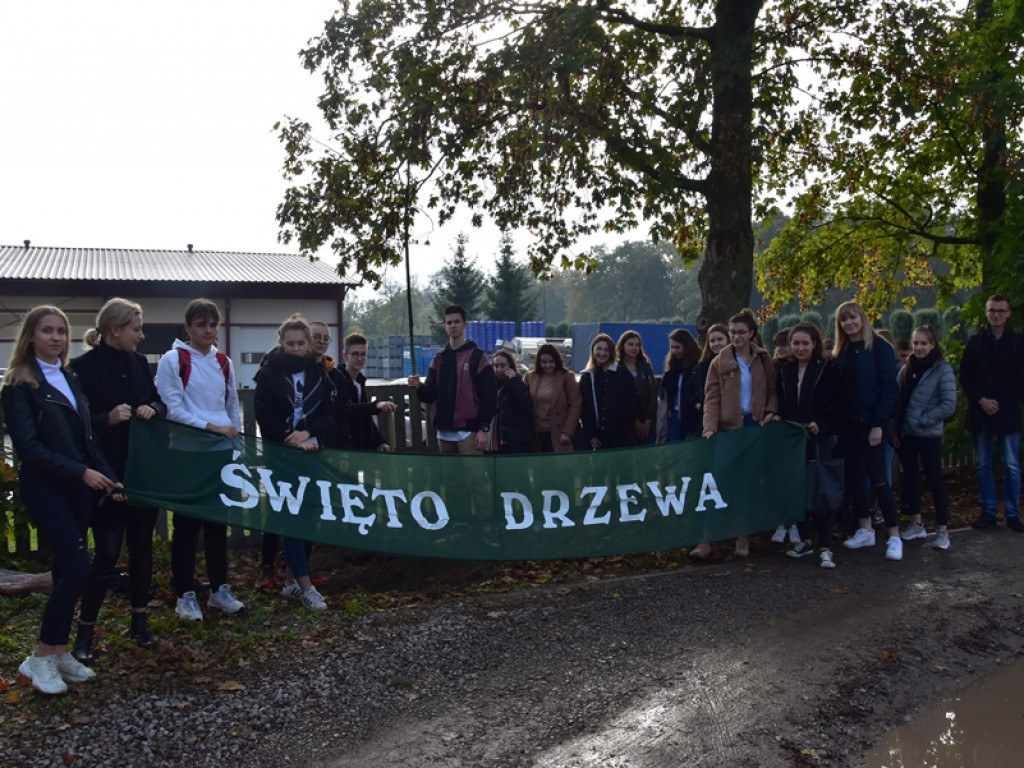 Święto Drzewa w LO w Radzyniu - dwunasta edycja