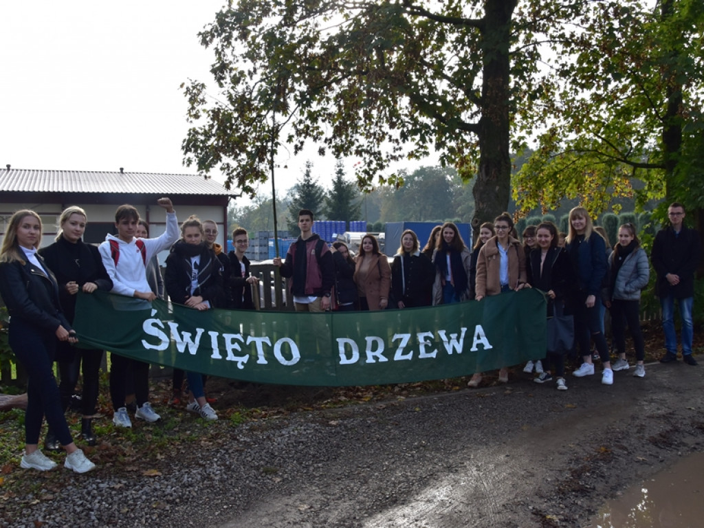Święto Drzewa w LO w Radzyniu - dwunasta edycja