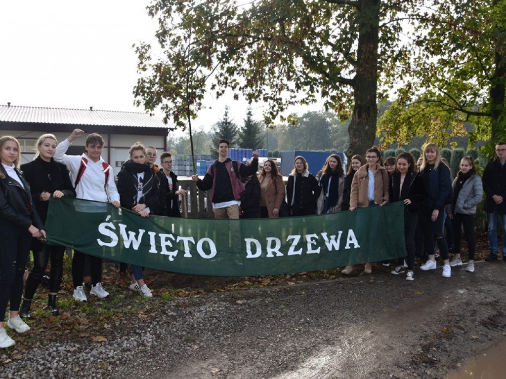 Święto Drzewa w LO w Radzyniu - dwunasta edycja