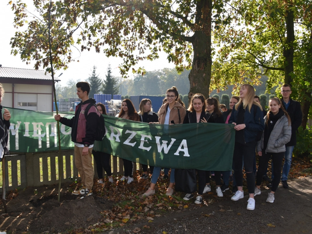 Święto Drzewa w LO w Radzyniu - dwunasta edycja