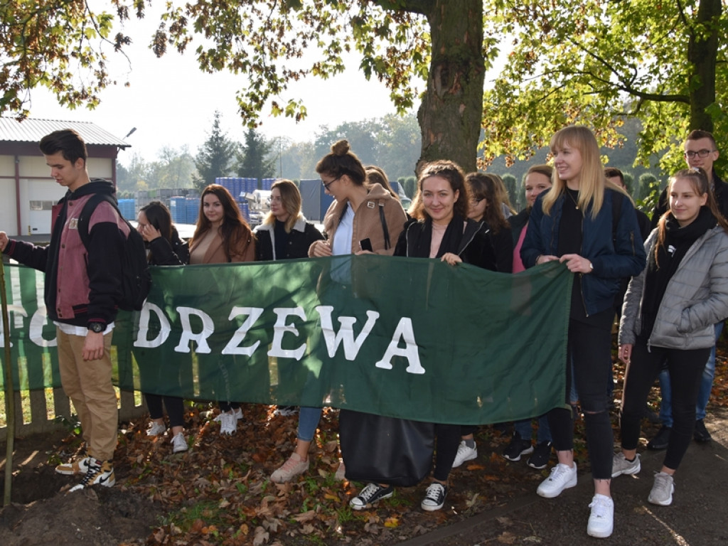 Święto Drzewa w LO w Radzyniu - dwunasta edycja