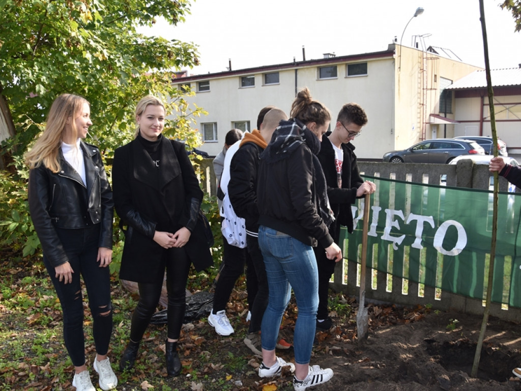Święto Drzewa w LO w Radzyniu - dwunasta edycja