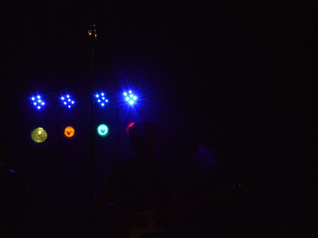 Koncert w Radzyńskim Ośrodku Kultury