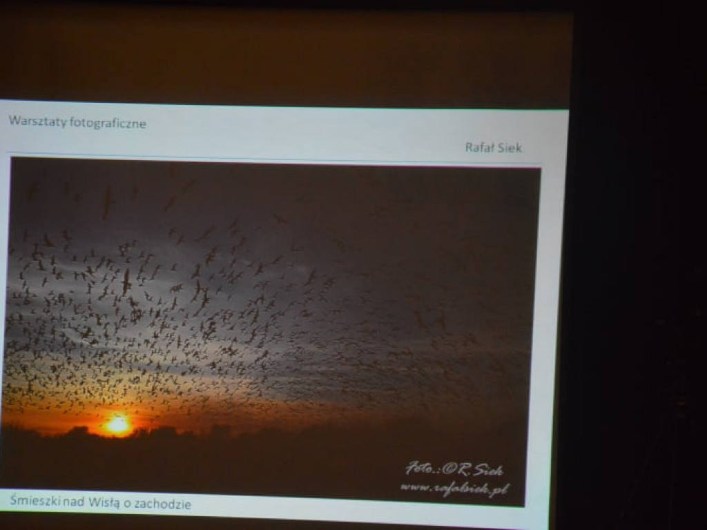 Warsztaty fotograficzne