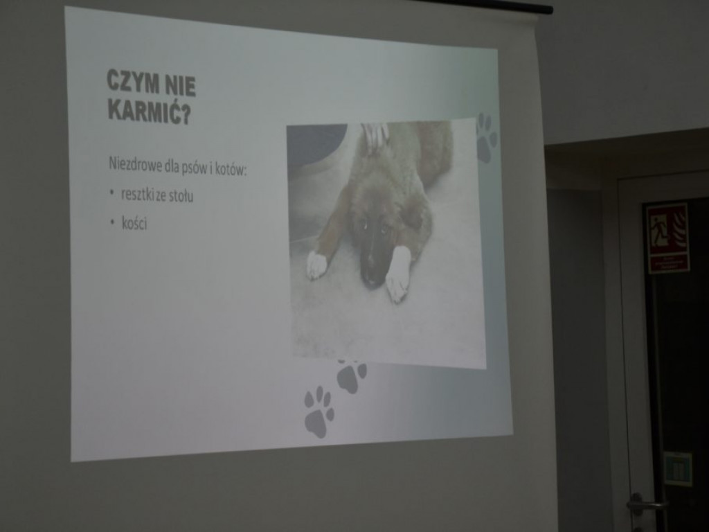 Spotkanie w SOSW na temat zwierząt