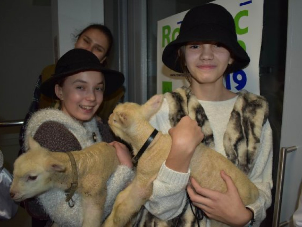 Spotkanie opłatkowe ZERiI w Wohyniu