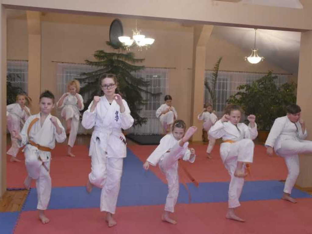 Egzamin w Kąkolewnicy na wyższe stopnie karate