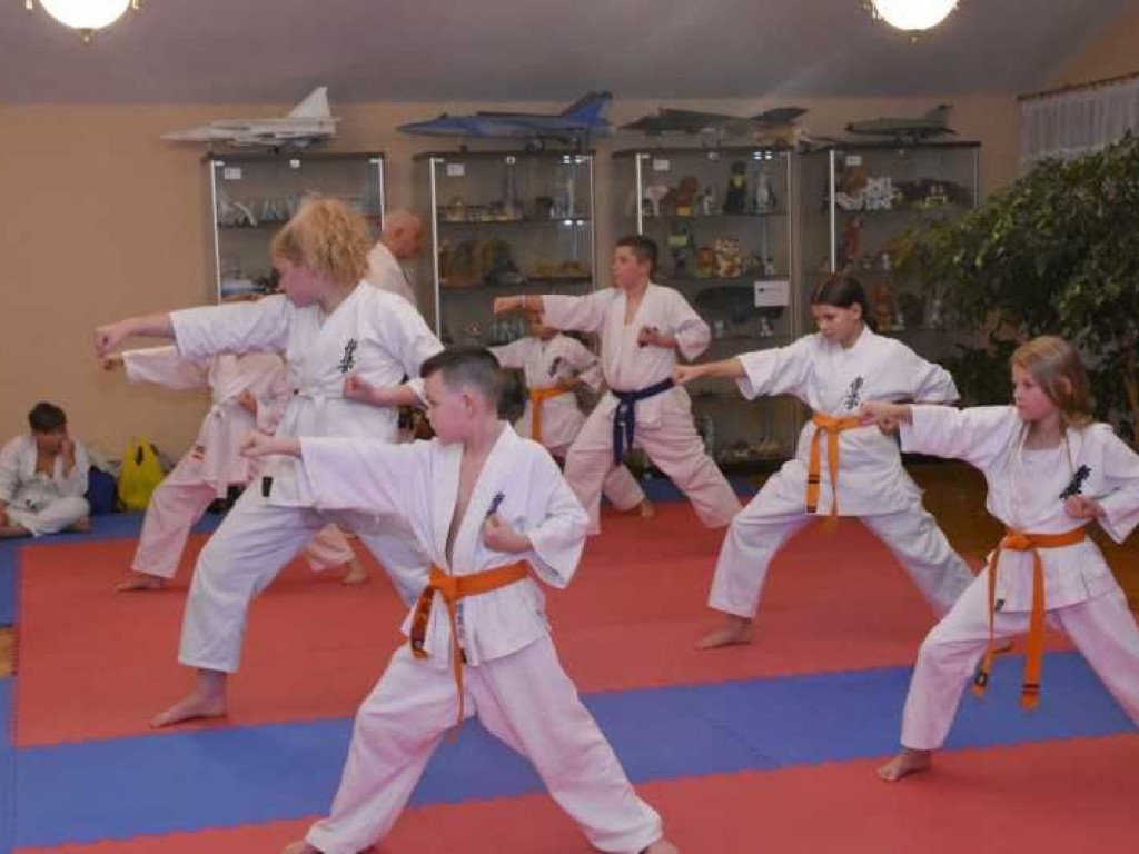 Egzamin w Kąkolewnicy na wyższe stopnie karate