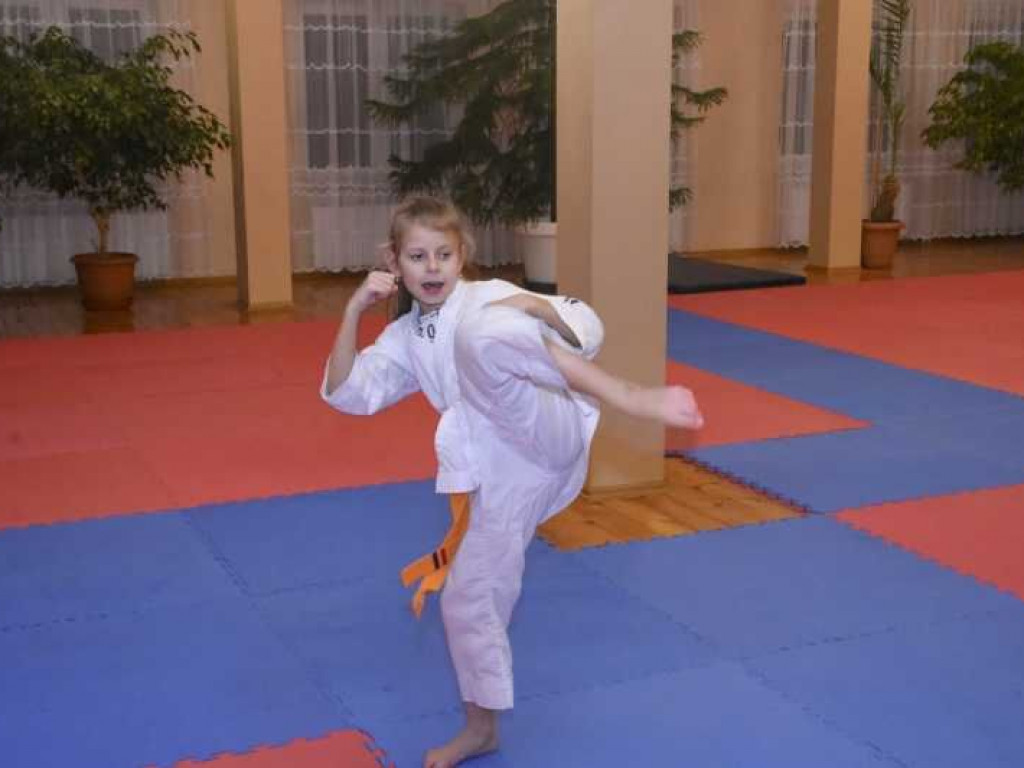 Egzamin w Kąkolewnicy na wyższe stopnie karate