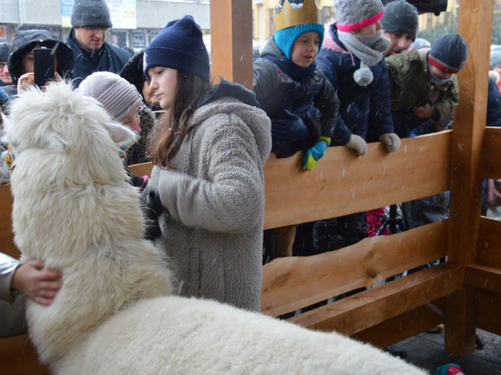 VII Orszak Trzech Króli w Radzyniu