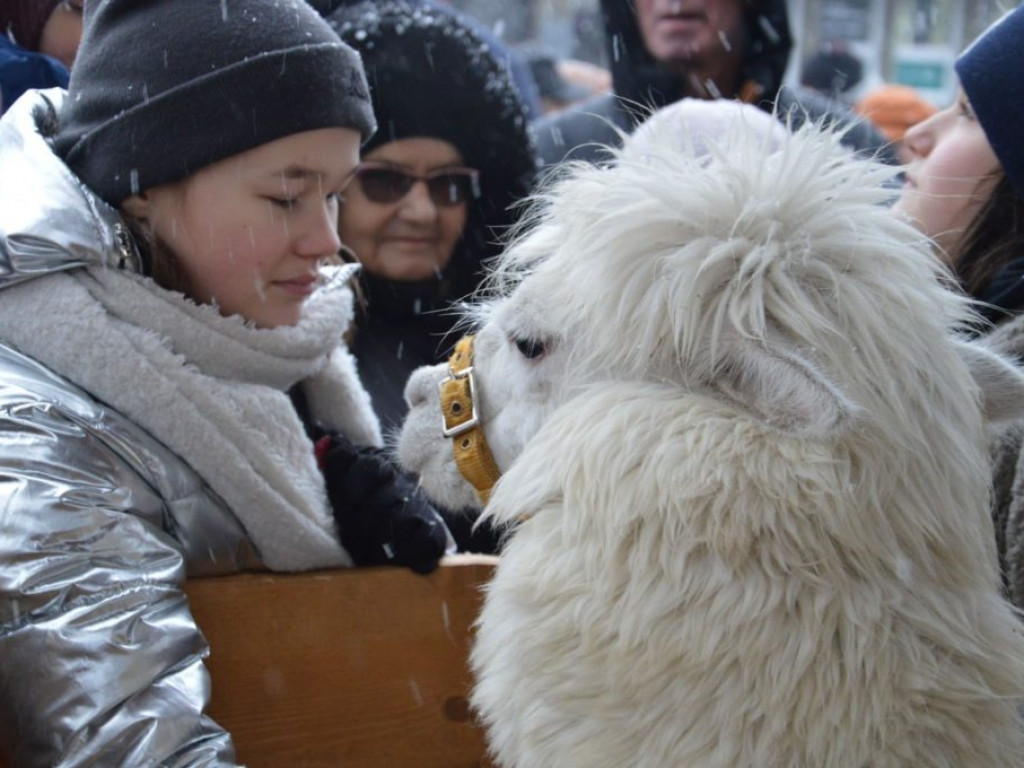 VII Orszak Trzech Króli w Radzyniu