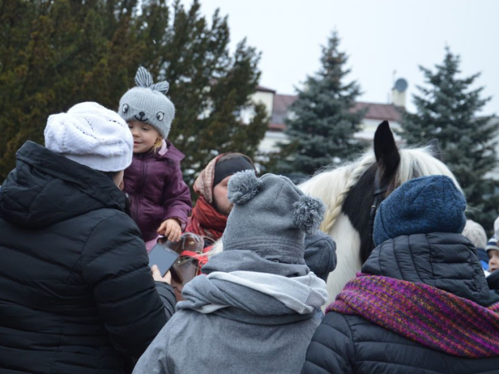 VII Orszak Trzech Króli w Radzyniu