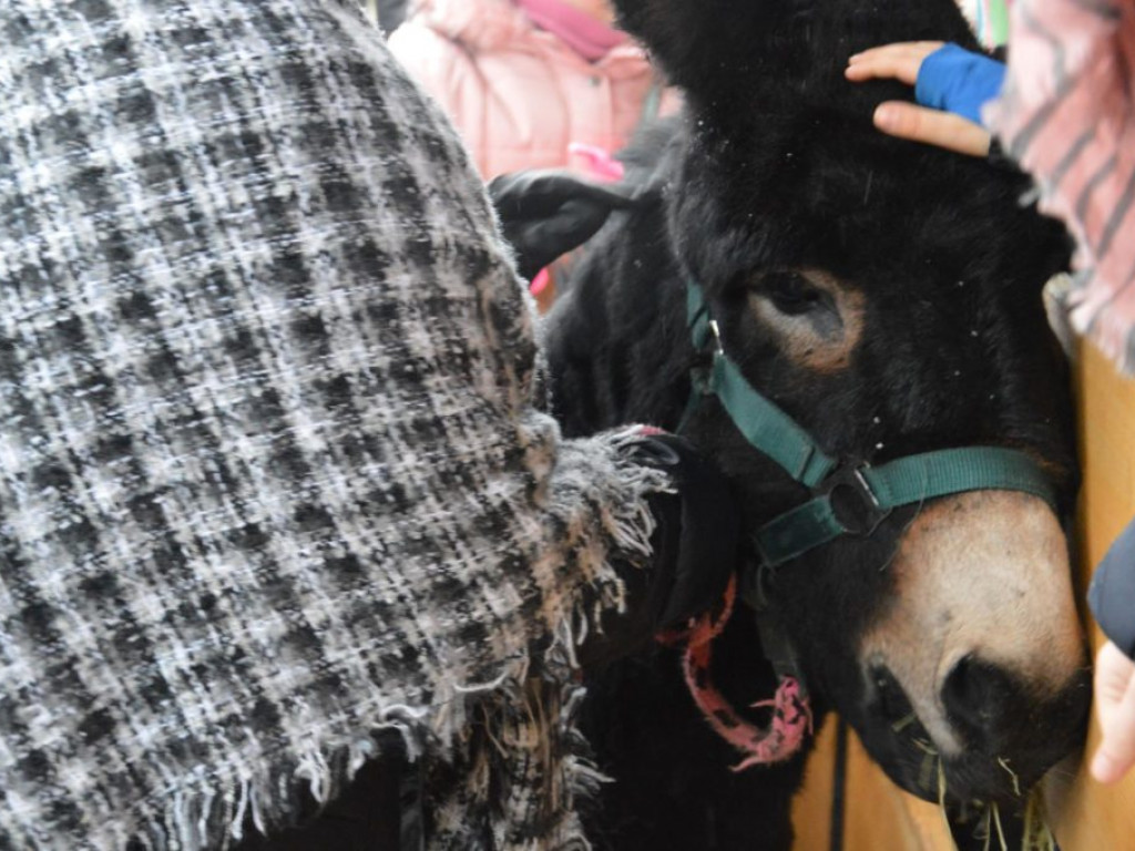 VII Orszak Trzech Króli w Radzyniu