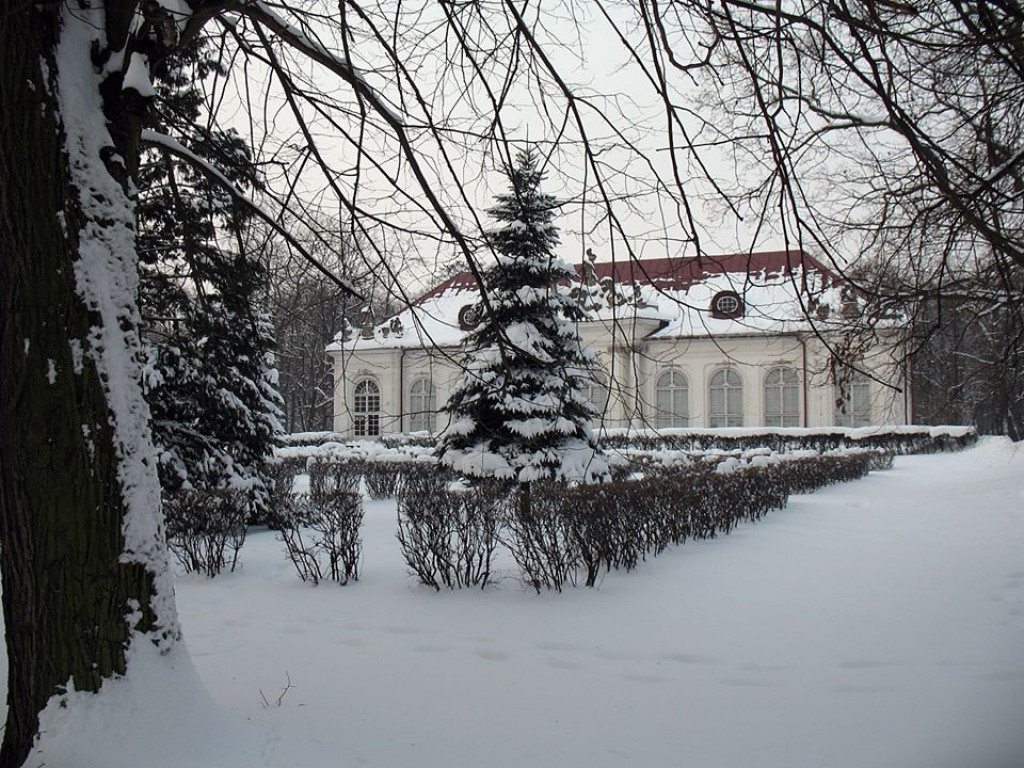 Zima w Radzyniu w 2010 roku