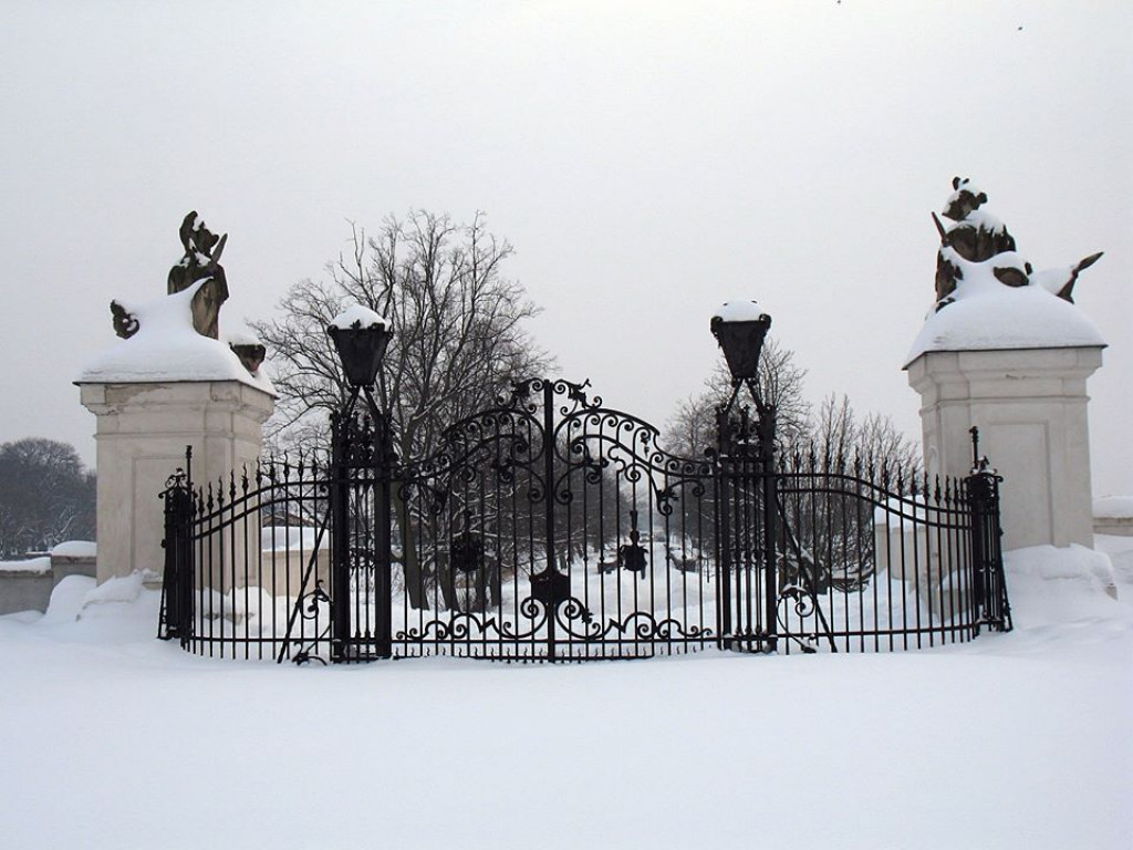 Zima w Radzyniu w 2010 roku